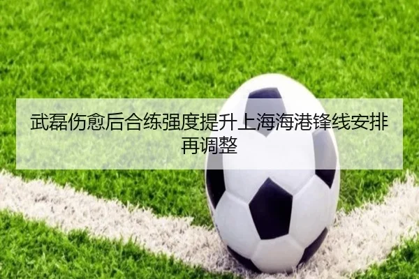 武磊伤愈后合练强度提升上海海港锋线安排再调整
